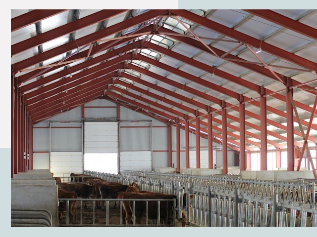 Строительство коровников в Переславле-Залесском