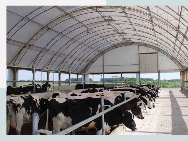 Тентовые коровники в Переславле-Залесском